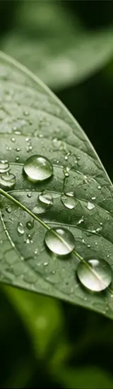Environmental