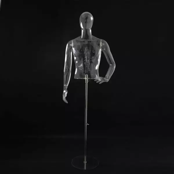 Half body male mannequins