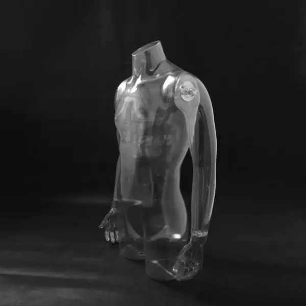 Male torso