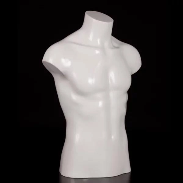 Male half-length model Male half-length model