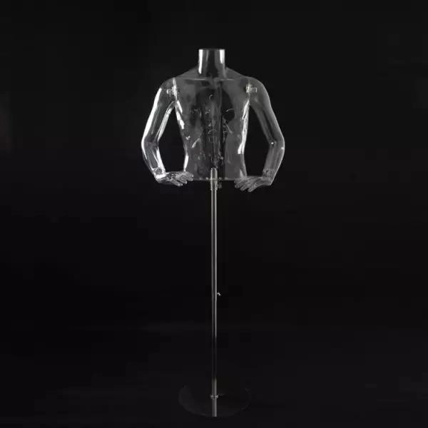 Male half-body model (supporting structure) Male half-body model (supporting structure)